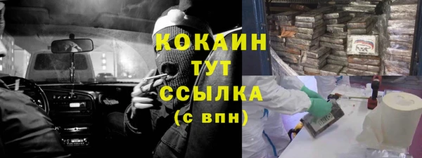 ПСИЛОЦИБИНОВЫЕ ГРИБЫ Балабаново