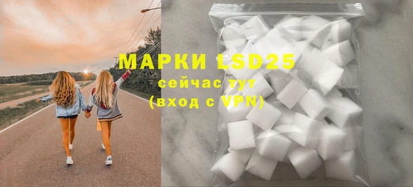 ПСИЛОЦИБИНОВЫЕ ГРИБЫ Балабаново