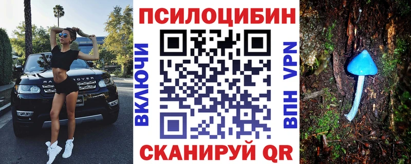 Псилоцибиновые грибы GOLDEN TEACHER  купить наркотики сайты  Уяр 